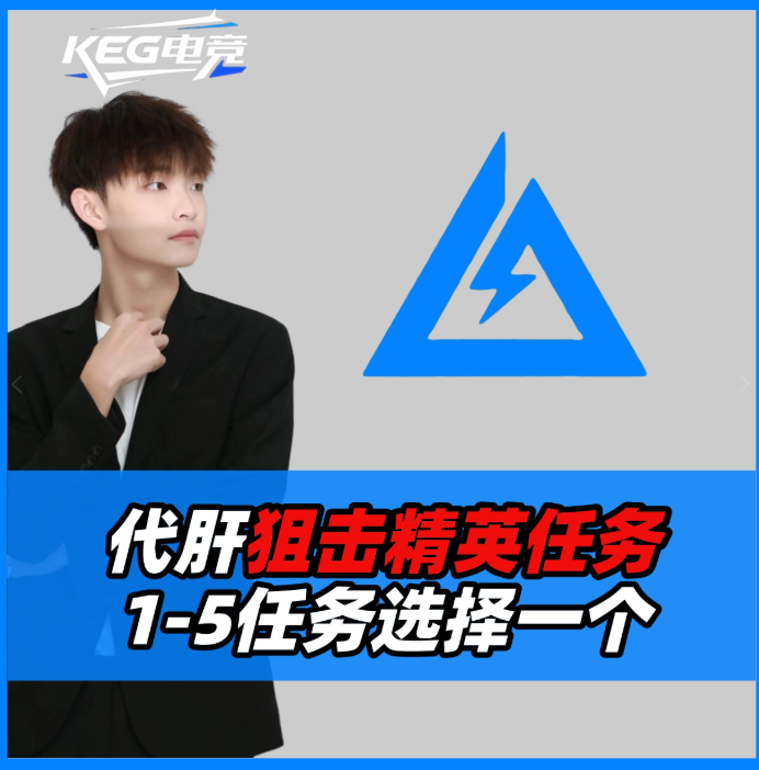 代肝狙击精英任务