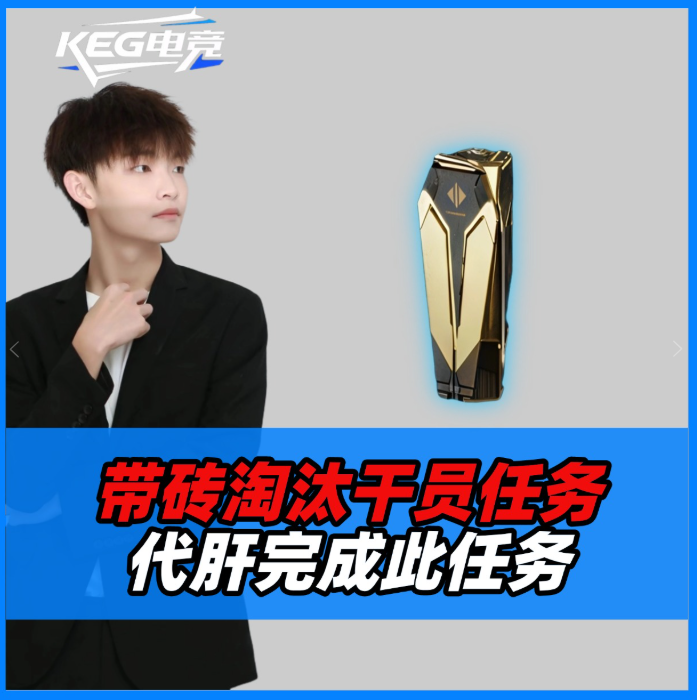 代肝带砖杀人任务